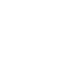 sec2_slide_icon