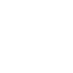 sec2_slide_icon